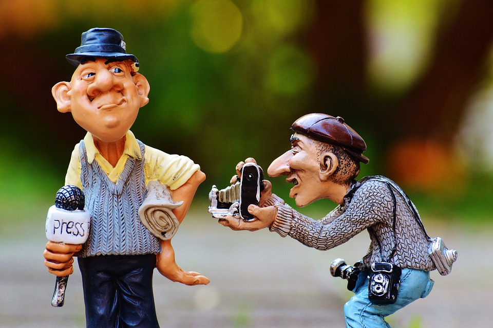 Journalist, Presse